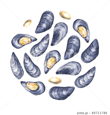 Backdrop with watercolor illustrated mussels 89721786