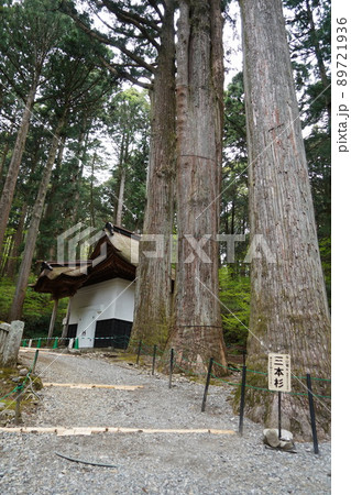 光前寺（こうぜんじ）は、長野県駒ヶ根市赤穂にある天台宗の別格本山の寺院である。 89721936