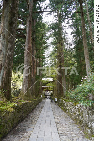 光前寺（こうぜんじ）は、長野県駒ヶ根市赤穂にある天台宗の別格本山の寺院である。 89721962