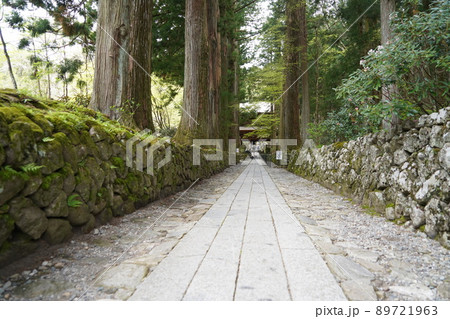 光前寺（こうぜんじ）は、長野県駒ヶ根市赤穂にある天台宗の別格本山の寺院である。 89721963