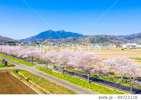 つくば霞ヶ浦りんりんロードの桜並木と筑波山 茨城県 サイクリングロード 89722116