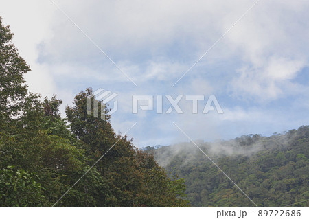 Beautiful top view of green forest and foggy mountain. 89722686