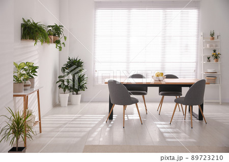 Stylish room interior with green plants. Home decoration 89723210