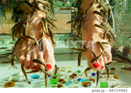 Fish Spa pedicure Rufa Garra treatment. Legs and fish in blue water. Woman legs. Selective focus 89724992