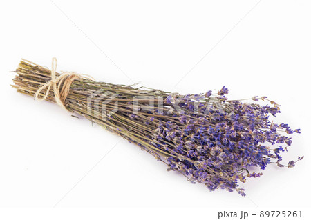 bunch of dried lavender isolated on white background 89725261
