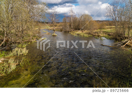 Russia. Leningrad region. May 8, 2022. Spring landscape of the Oredezh River near the village of Bolshoe Zarechye. 89725666