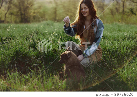 Young redheaded woman playing in nature with her dog in sunny park at sunset in summer Young redheaded woman playing in nature with her dog in sunny park at sunset in summer 89726620