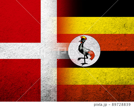 the Kingdom of Denmark National flag with The Republic of Uganda National flag. Grunge Background 89728839