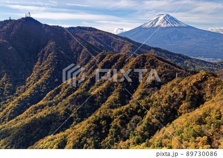 紅葉の本社ヶ丸稜線から見る富士山と三ツ峠 89730086