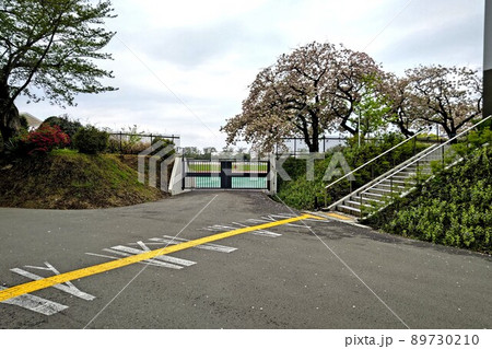 神奈川県立スポーツセンター　通路　藤沢市善行   2022年4月 89730210