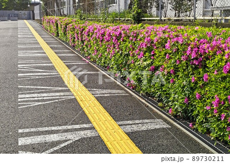 神奈川県立スポーツセンター　通路   藤沢市善行   2022年4月 89730211