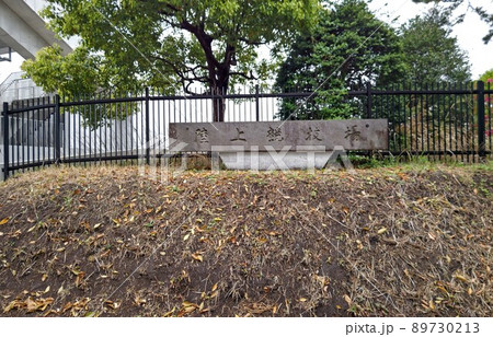 神奈川県立スポーツセンター 陸上競技場 第二種公認陸上競技場   藤沢市善行   2022年4月 神奈川県立スポーツセンター 陸上競技場 第二種公認陸上競技場   藤沢市善行   2022年4月 89730213