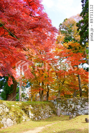 秋の高取城跡／紅葉（奈良県高市郡高取町） 89731112