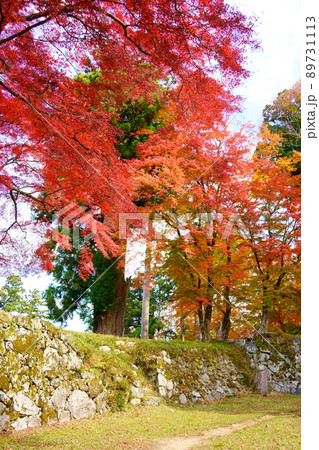 秋の高取城跡／紅葉（奈良県高市郡高取町） 89731113