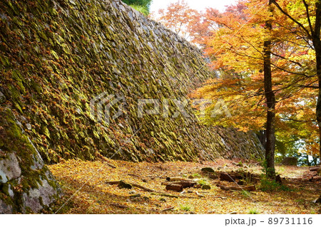 秋の高取城跡/紅葉(奈良県高市郡高取町) 秋の高取城跡/紅葉(奈良県高市郡高取町) 89731116