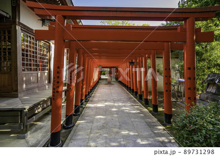 田村神社　北参道　香川県高松市 89731298