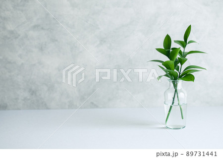 シンプルな植物の背景素材 シンプルな植物の背景素材 89731441