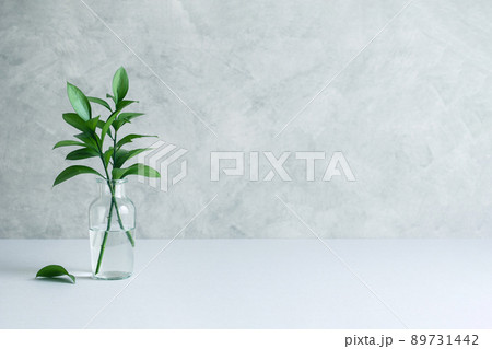 シンプルな植物の背景素材 89731442