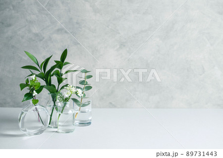 シンプルな植物の背景素材 89731443