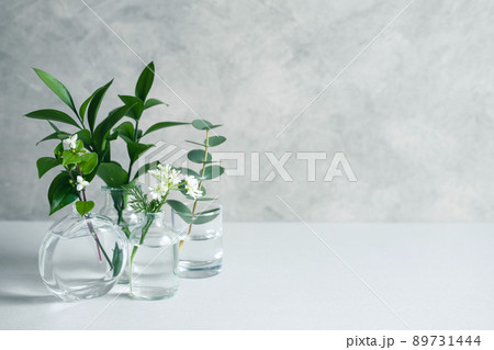 シンプルな植物の背景素材 シンプルな植物の背景素材 89731444