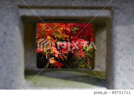 中野邸記念館の紅葉（新潟県） 89731711