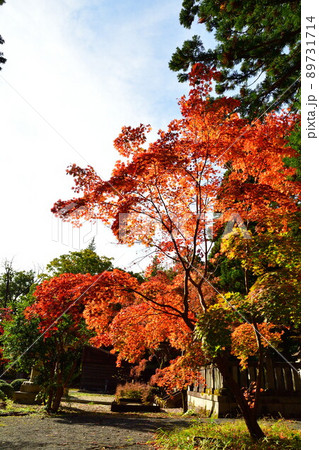 中野邸記念館の紅葉(新潟県) 中野邸記念館の紅葉(新潟県) 89731714