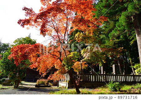 中野邸記念館の紅葉（新潟県） 89731716
