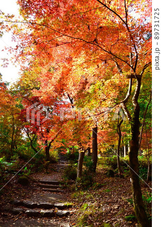 中野邸記念館の紅葉（新潟県） 89731725