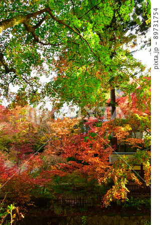 中野邸記念館の紅葉(新潟県) 中野邸記念館の紅葉(新潟県) 89731754