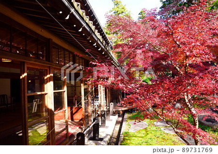 中野邸記念館の紅葉（新潟県） 89731769