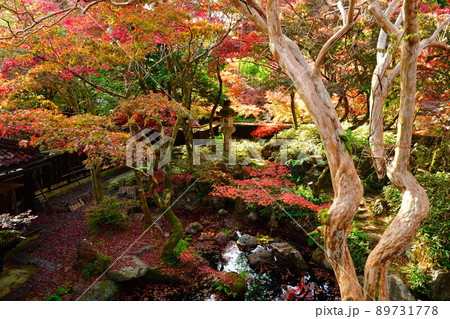 中野邸記念館の紅葉（新潟県） 89731778