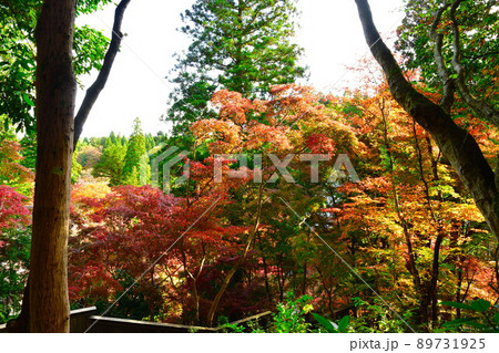 中野邸記念館の紅葉（新潟県） 89731925
