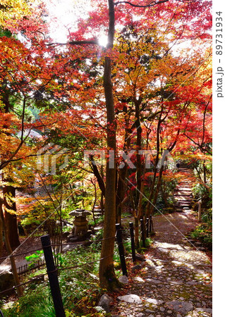 中野邸記念館の紅葉（新潟県） 89731934