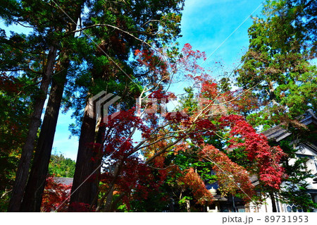 中野邸記念館の紅葉(新潟県) 中野邸記念館の紅葉(新潟県) 89731953