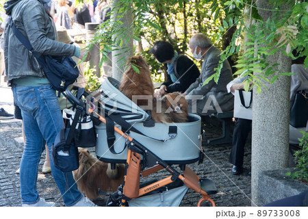 着物姿が似合うレトロな街、川越（小江戸） 89733008