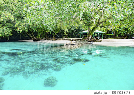 パラオ共和国　ロックアイランドの透明な海と白い砂のビーチ 89733373