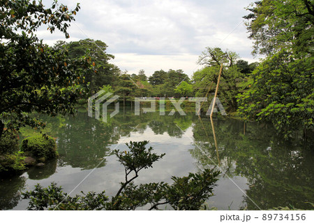 兼六園 新緑の霞ヶ池 兼六園 新緑の霞ヶ池 89734156