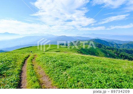 信州ビーナスライン・三峰山トレッキング(登山道から八ヶ岳・南アルプス方面の眺め) 信州ビーナスライン・三峰山トレッキング(登山道から八ヶ岳・南アルプス方面の眺め) 89734209