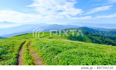 信州ビーナスライン・三峰山トレッキング(登山道から八ヶ岳・南アルプス方面の眺め) 信州ビーナスライン・三峰山トレッキング(登山道から八ヶ岳・南アルプス方面の眺め) 89734210