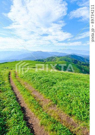 信州ビーナスライン・三峰山トレッキング(登山道から八ヶ岳・南アルプス方面の眺め) 信州ビーナスライン・三峰山トレッキング(登山道から八ヶ岳・南アルプス方面の眺め) 89734211