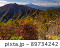 紅葉の本社ヶ丸から見る三ツ峠と富士山 89734242