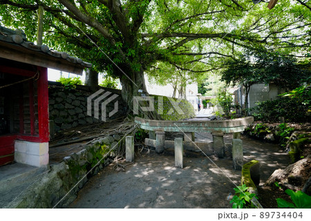 【鹿児島】黒神埋没鳥居 【鹿児島】黒神埋没鳥居 89734404