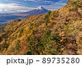 三ツ峠の紅葉と富士山 89735280