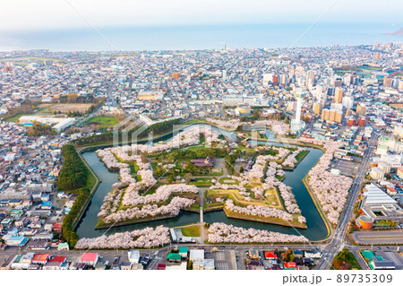 函館　桜の五稜郭空撮 89735309