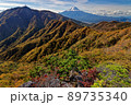 紅葉の本社ヶ丸・戻り岩から見る富士山と三ツ峠 89735340