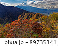 紅葉の本社ヶ丸山頂から見る富士山と三ツ峠 89735341