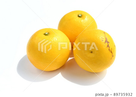 柑橘類（日向夏） 89735932