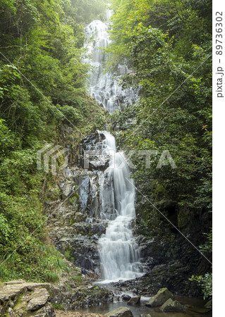 常清滝 常清滝 89736302