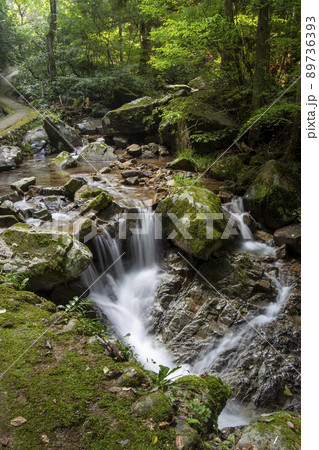 新緑の渓谷 89736393