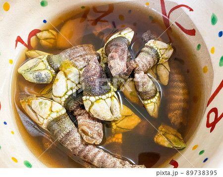 海の珍味　カメノテの塩茹で 89738395